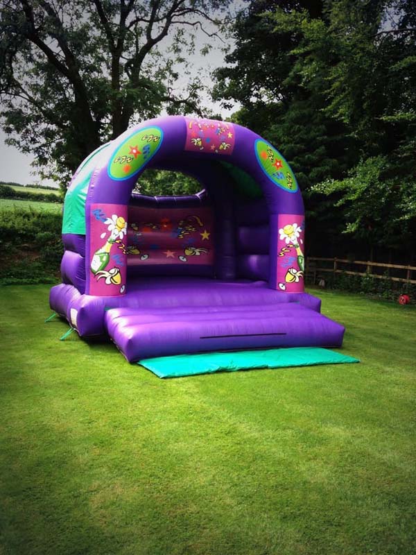 adult purple castle